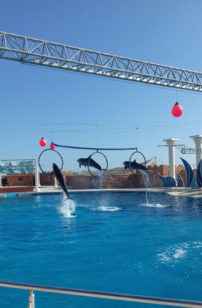 Delfinarium Kemer