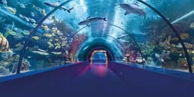 Antalya & Aquarium