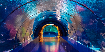Aquarium   